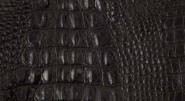 zwart krokodillenleer of alligator leer.