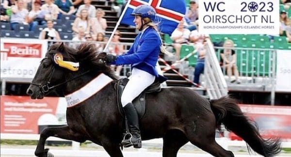 Donkere IJslander met ruiter met IJslandse vlag in de hand.